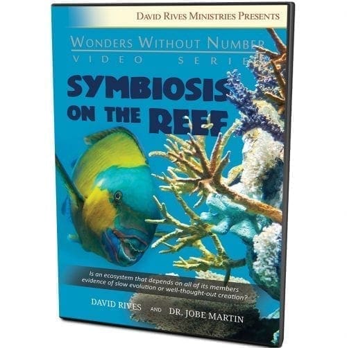 Symbiosis On The Reef DVD