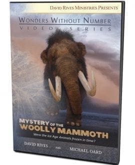 Mystery of the Woolly Mammoth DVD