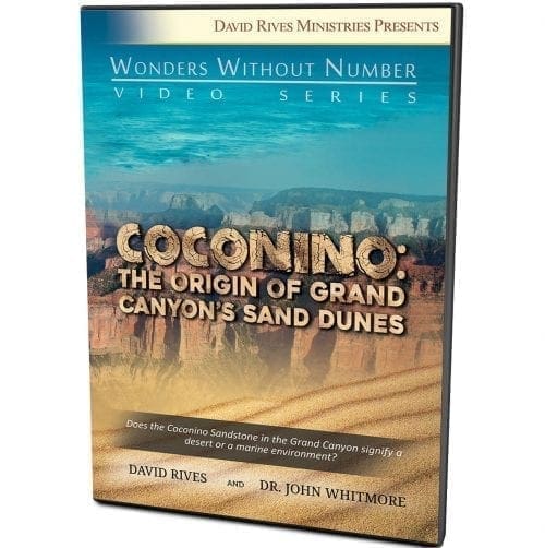 Coconino DVD