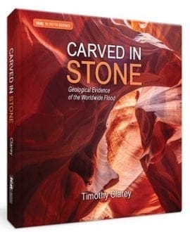 Carved In Stone Book