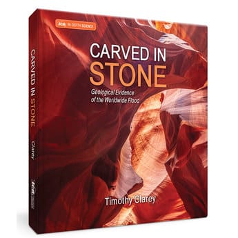 Carved In Stone Book