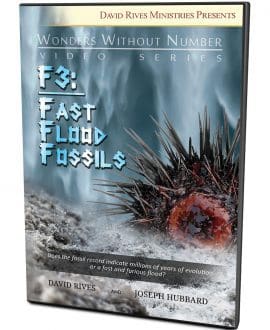 F3 Fast Flood Fossils DVD