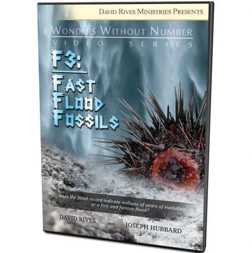 F3 Fast Flood Fossils DVD