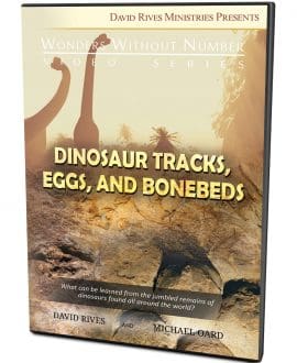 Dinosaur Tracks, Eggs and Bonebeds DVD