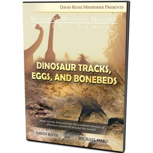 Dinosaur Tracks, Eggs and Bonebeds DVD