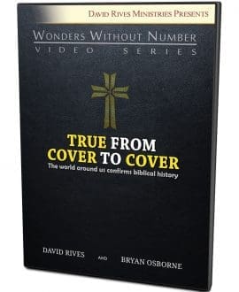 True From To Cover DVD