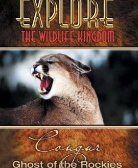 cougar dvd cover