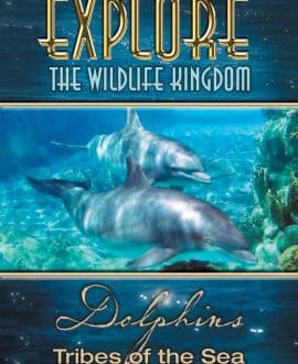 dolphins dvd cover