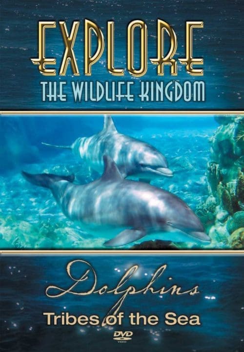 dolphins dvd cover
