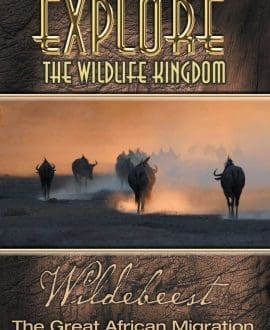 wildebeest dvd cover
