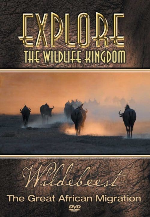 wildebeest dvd cover