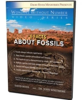 6 Facts About Fossils DVD