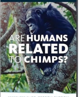 Are Humans Related to Chimps? DVD
