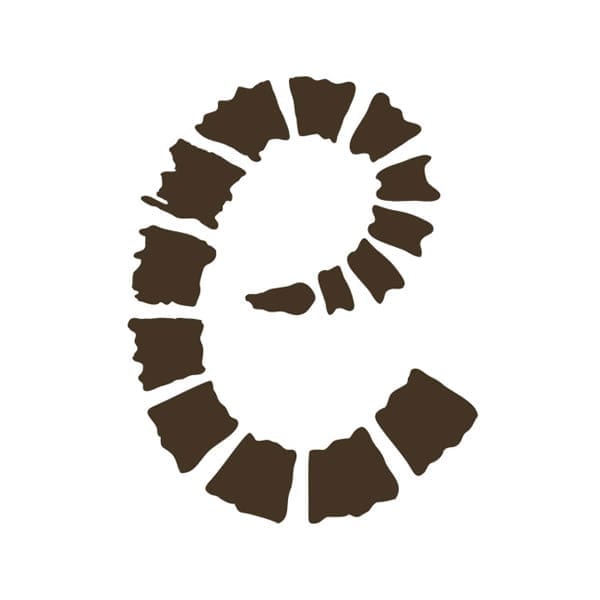 Everything Fossil - David Mikkelson