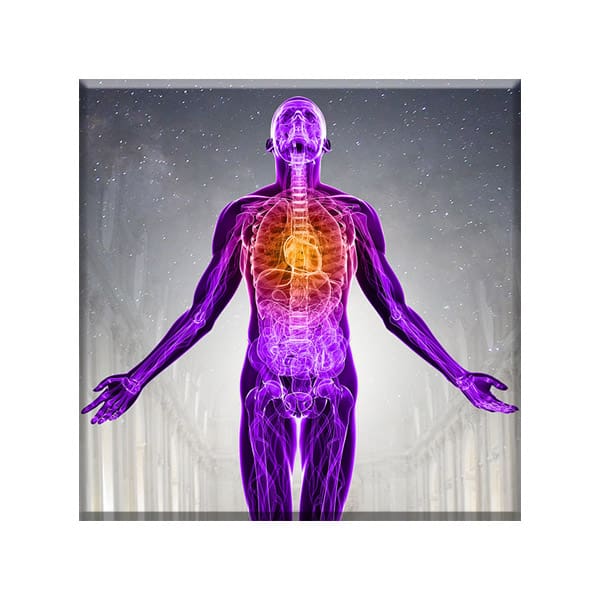 Science and Wonders - Dr Chuck Thurston MD Heart