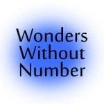 Wonders Without Number Video Series David Rives