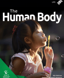 The Human Body- Gods Design | MB