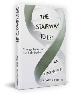 The Stairway To Life Book