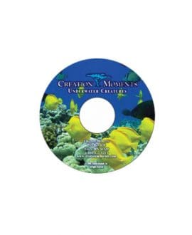 Underwater Creatures- CD | CM