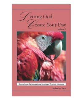 Letting God Create Your Day Vol 5 | CM