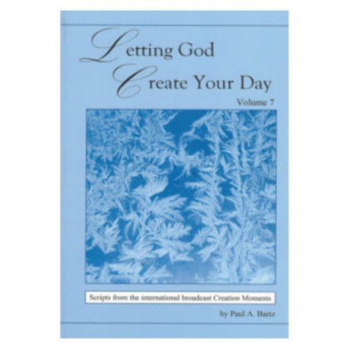 Letting God Create Your Day-Vol 7| CM