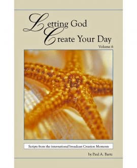 Letting God Create Your Day Book Volume 6