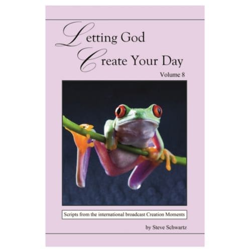 Letting God Create Your Day - Vol. 8| CM
