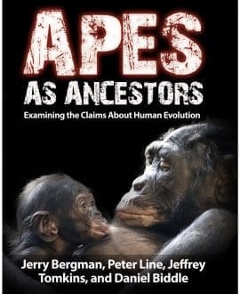 Apes As Ancestors Book