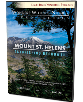 Mount St Helens Astonishing Regrowth