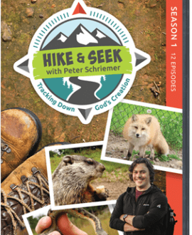 Hike & Seek - Tracking Down God's Creation DVD | AIG