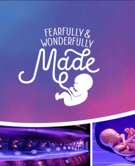 Fearfully and Wonderfully Made - Book | AIG
