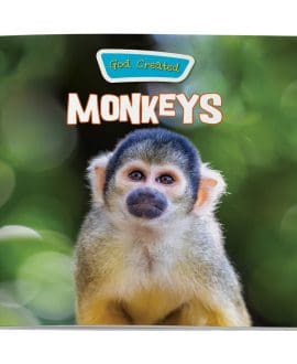 God Created Monkeys Book