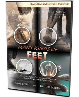 Many Kinds of Feet | David Rives and Dr. Jobe Martin | Wonders Without Number Video