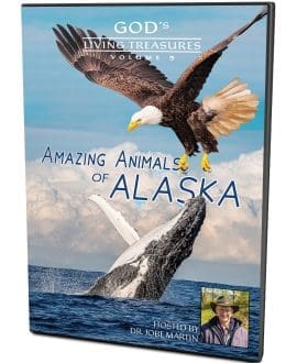 God's Living Treasures Amazing Animals of Alaska Vol. 3 Video