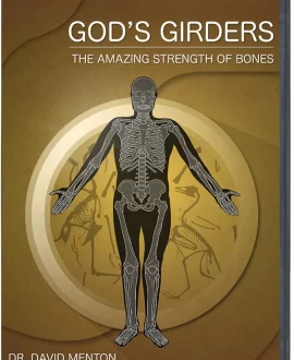 God's Girders DVD