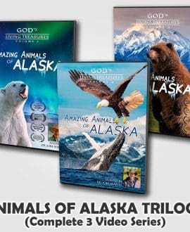 God's Living Treasures | Amazing Animals of Alaska 3 Video Series