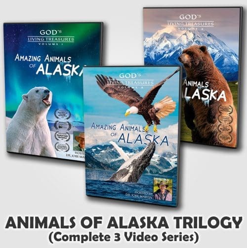 God's Living Treasures | Amazing Animals of Alaska 3 Video Series