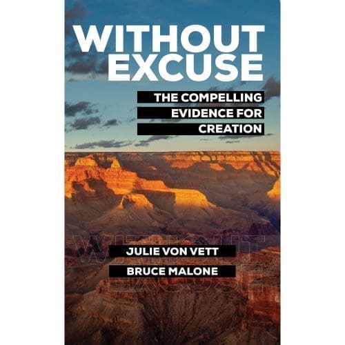 Without Excuse Book