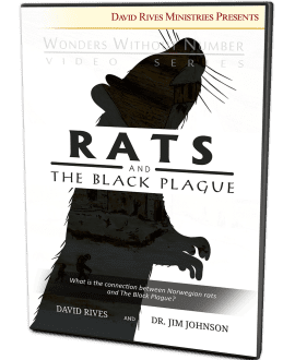 Rats and the Black Plague | David Rives and Dr. Jim Johnson | Wonders Without Number Video