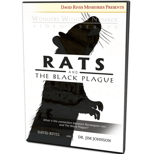 Rats and the Black Plague | David Rives and Dr. Jim Johnson | Wonders Without Number Video