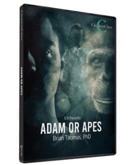Adam or Apes DVD