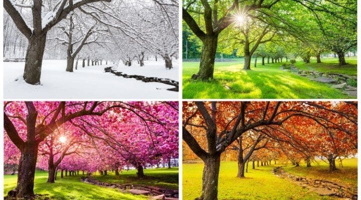 Reasons For The Seasons - Why It Gets So Hot & Cold -by David Rives