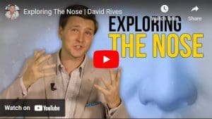 Exploring the Human Nose -by David Rives