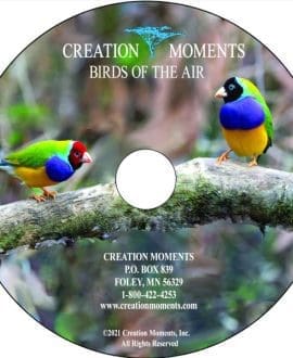 Birds of the Air CD