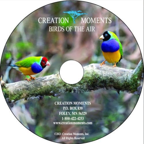 Birds of the Air CD