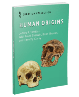 Human Origins Book