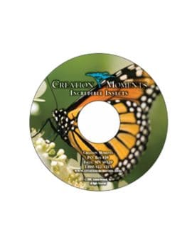 Incredible Insects CD