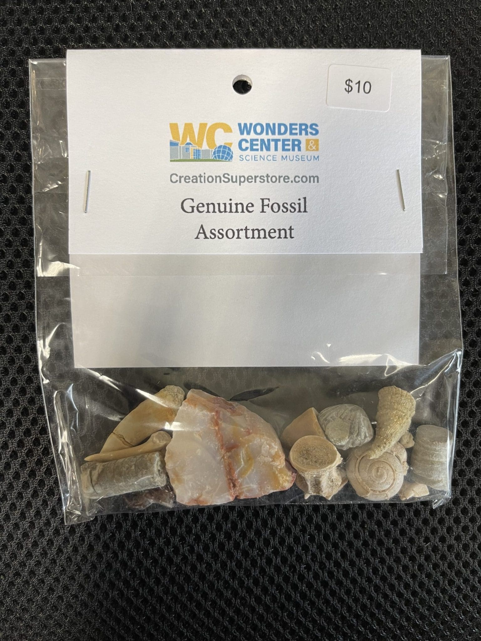 Genuine Fossil Assortment