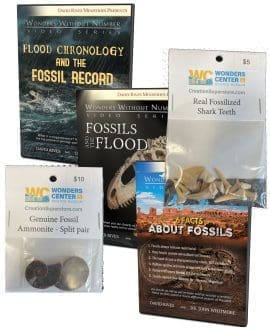 The Global Flood DVD and Fossil Bundle