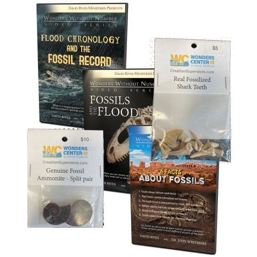 The Global Flood DVD and Fossil Bundle
